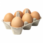 Telur