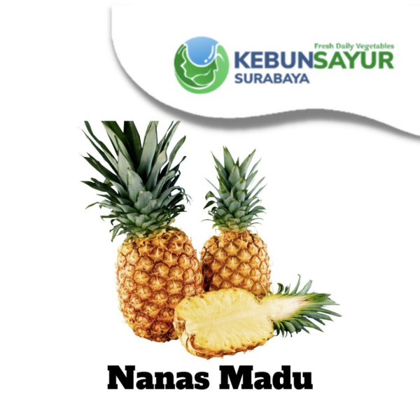 Kebun Sayur Surabaya - Image 6