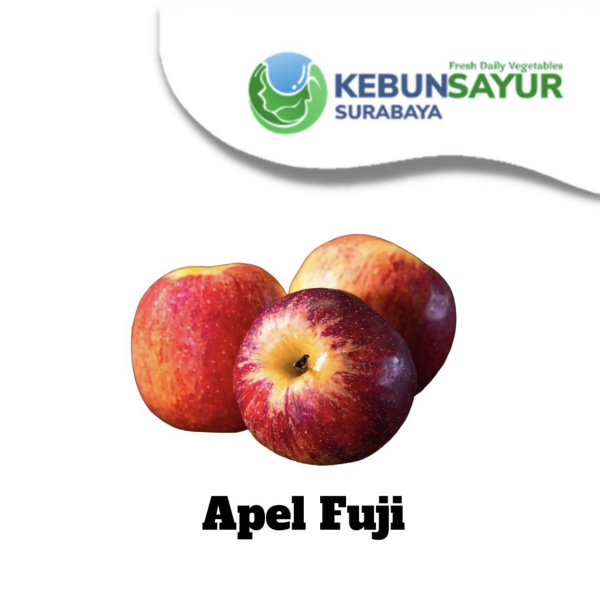 Kebun Sayur Surabaya - Image 10