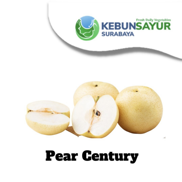 Kebun Sayur Surabaya - Image 11