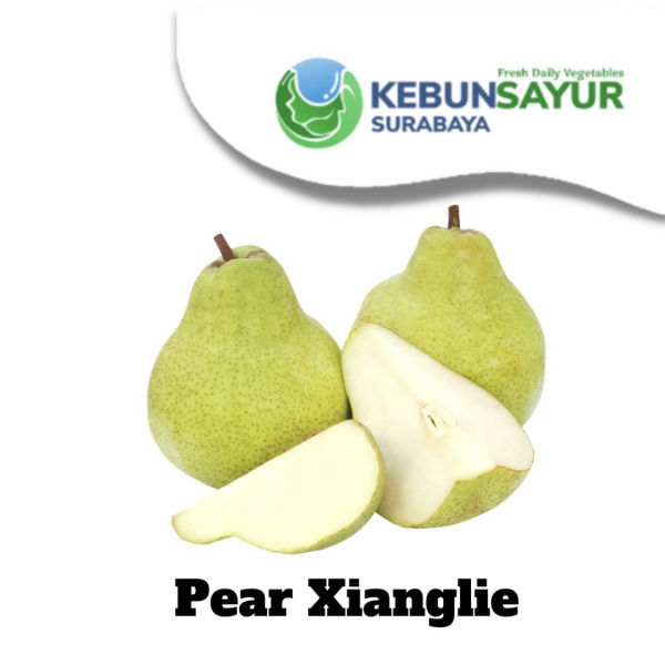 Kebun Sayur Surabaya - Image 9