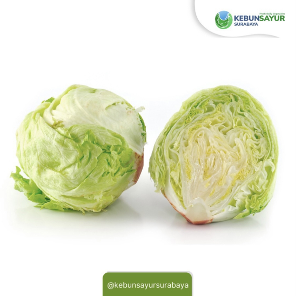 Kebun Sayur Surabaya - Image 2