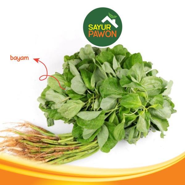 Sayur Pawon - Image 3