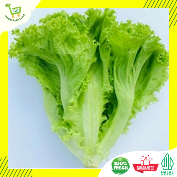 Tambah Buah Sayur - Image 10