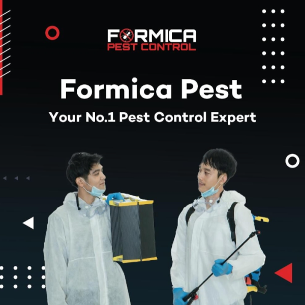 Formica Pest - Image 2