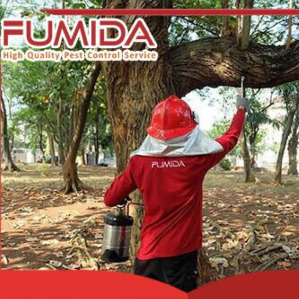 Fumida - Image 7