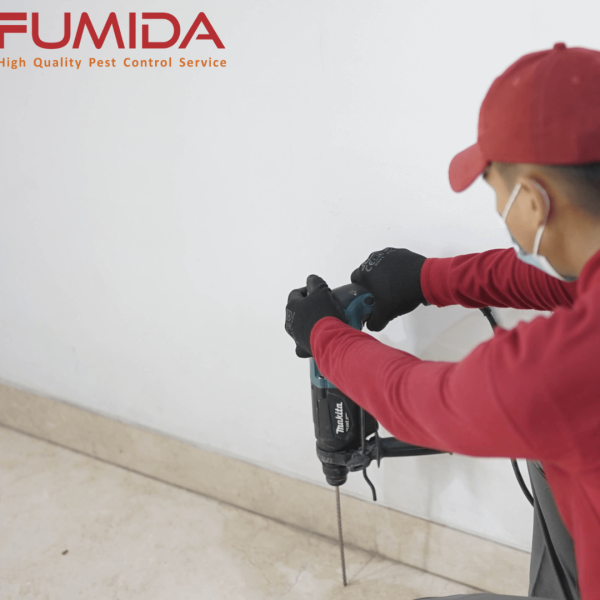 Fumida - Image 4