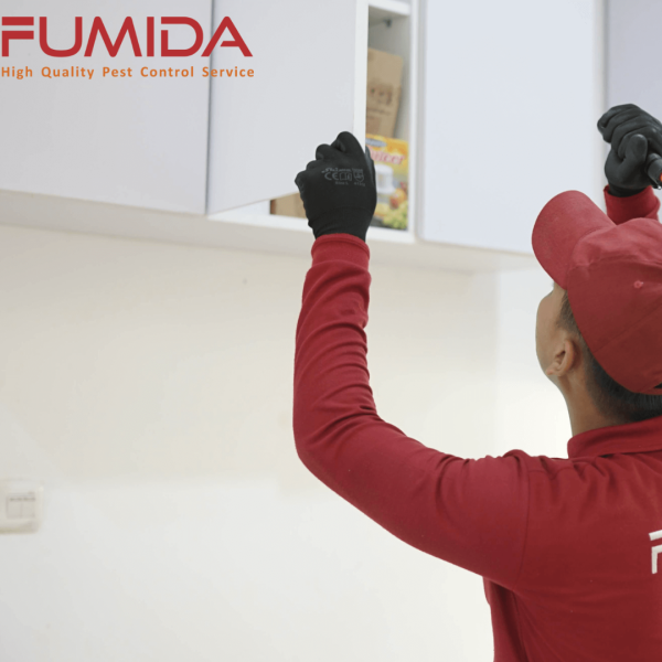 Fumida - Image 3