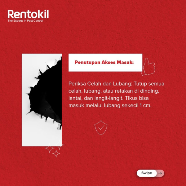 Rentokil - Image 6